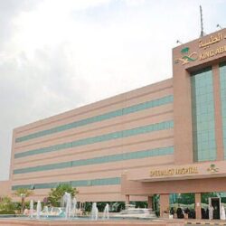 فحص جواز السفر السابق حضوريًا شرط للتجديد