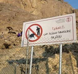 “المرور”: 4 خطوات للاستعلام عن المركبات المحجوزة عبر “أبشر”