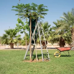 أول ناقلة “هيدروجين سائل” بالعالم في ميناء جدة