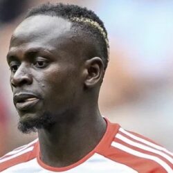 “البيئة” تدعو إلى التقيد بالإرشادات لتجنب حرائق الغابات تزامنًا مع ارتفاع درجات الحرارة