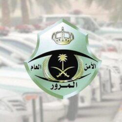 القبض على 10 مخالفين لتهريبهم 140 كجم من القات في جازان