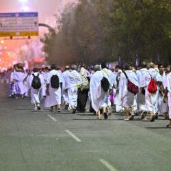 الجوف: ضبط مواطن لترويجه أقراصًا خاضعة لتنظيم التداول الطبي