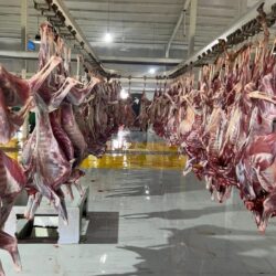 كشافة وزارة التعليم تحقق أكثر من 30 ألف ساعة عمل في خدمة ضيوف الرحمن