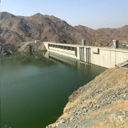 “الجوازات” تواصل إنهاء إجراءات مغادرة ضيوف الرحمن عبر ميناء جدة الإسلامي