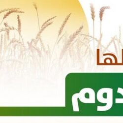 “التعليم” تعلن فتح التقديم على 11551 وظيفة تعليمية