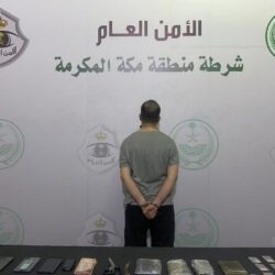 المرور: ضبط 1030 مركبة مخالفة متوقفة في الأماكن المخصصة لذوي الإعاقة