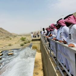 القبض على مقيم لترويجه “الميثامفيتامين” بالطائف