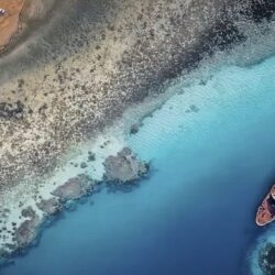 الشباب يتقدم بعرض للتعاقد مع الجزائري آدم وناس لاعب نادي ليل الفرنسي