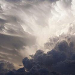 مصادرة 1800 كجم مواد غذائية فاسدة بجازان