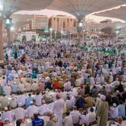 انطلاق مهرجان “الفاكهة” بمشاركة 32 جناحاً في طبرجل