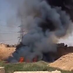 “البيئة”: مسالخ الرياض تستقبل أكثر من (81) ألف ذبيحة خلال أيام العيد الثلاثة