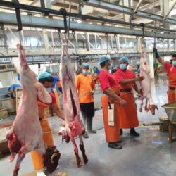 قوات أمن الحج تعلن ضبط (105) حملات وهمية و(17615) شخصًا لمحاولتهم الحج بلا تصريح