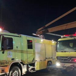 سمو وزير الدفاع يقدم التعازي لسمو رئيس دولة الإمارات العربية المتحدة في وفاة سمو الشيخ سعيد بن زايد آل نهيان