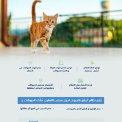 “مكافحة المخدرات” تحبط تهريب أكثر من ( 6 ) ملايين قرص من مادة الإمفيتامين المخدر