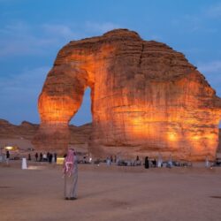 “الحياة الفطرية”: انطلاق مرحلة معالجة تزايد أعداد قرود البابون في بقية المناطق المستهدفة