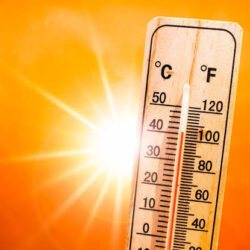 أكثر من 431 ألف حاج يصلون إلى المدينة المنورة