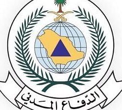 بحوزته أسلحة بيضاء ومبالغ مالية.. ضبط مواطن يروّج الحشيش والإمفيتامين بالقصيم