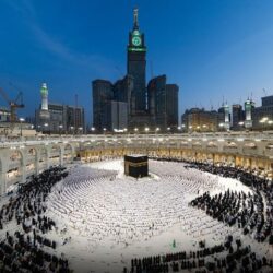 وزير البيئة: تحوّل النظم الغذائية بالمملكة أسهم في ارتفاع الإنتاج الزراعي لأكثر من 11 مليون طن