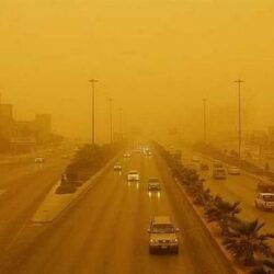 خادم الحرمينِ يأمرُ بترقية وتعيين 233 قاضيًا بوزارة العدل