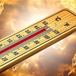 حرس الحدود بجازان يحبط تهريب (75) كيلوجرامًا من نبات القات المخدر