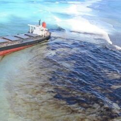 “المعهد الوطني للتطوير المهني” يطلق مسار “مهارات أساسية للقيادات التعليمية”