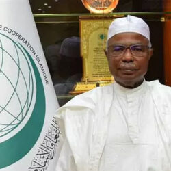 “مجلس شؤون الأسرة” يعزز من جهوده خلال النصف الأول من 2023 للحفاظ على كيان الأسرة وقيمها