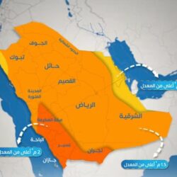 “التأمينات الاجتماعية” تنجز أكثر من 25 مليون خدمة عبر “تأميناتي أعمال” خلال 2023