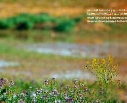 “منظمة التعاون الإسلامي”: تدنيس المصحف “حقير”