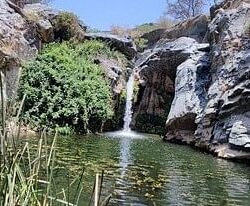 “مكافحة المخدرات” تقبض على مقيمين بمحافظة بدر لترويجهما أقراصًا خاضعة لتنظيم التداول الطبي