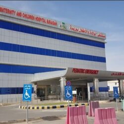 اكتشاف متحجرة لحيوان ثديي يهاجم ديناصوراً بالصين