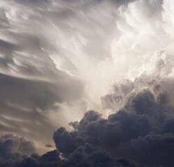 الشباب يتقدم بعرض للتعاقد مع الجزائري آدم وناس لاعب نادي ليل الفرنسي