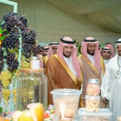 رابطة الدوري تصدر توضيحًا بخصوص ملاعب الهلال في روشن