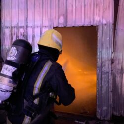 انقراض الريم “مُحاصر” بمحمية الإمام