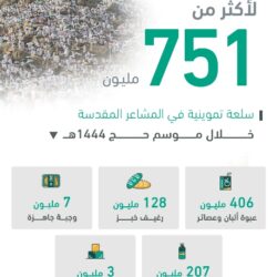 نائب وزير الخارجية يلتقي وزير دولة بريطانيا لشؤون الشرق الأوسط