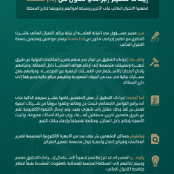 من الجنسية اليمنية.. القبض على 4 مخالفين لتهريبهم نبات القات المخدّر في جازان