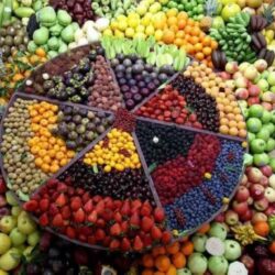 لقاء 642 صقرًا “مزاد الصقور” يختتم فعالياته بمبيعات تجاوزت 8 ملايين ريال