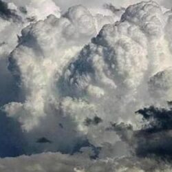 “السند” يشيد بقرار إنشاء رئاسة الشؤون الدينية بالحرمين وتحويل “الرئاسة” إلى هيئة عامة