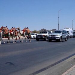 “تخفيض” قياسي غرامات مخالفات “نظام العمل”