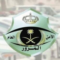 خادم الحرمين الشريفين يرأس جلسة مجلس الوزراء.. ويصدر عددًا من القرارات