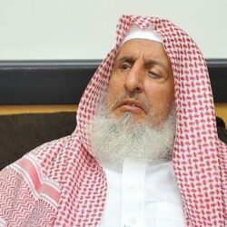 2 يورو لتقطيع شطيرة بمطعم.. والمبرر صادم