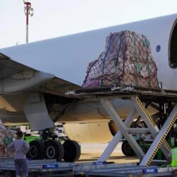 كرنفال بريدة للتمور يستقبل 420 طناً خلال 5 أيام