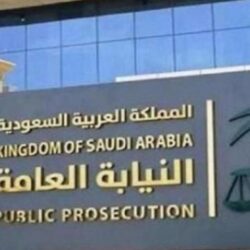 تعليم مكة يبدأ تنفيذ الدعم والصيانة لـ 699 مبنى مدرسيًا من خلال 84 فرقة ميدانية