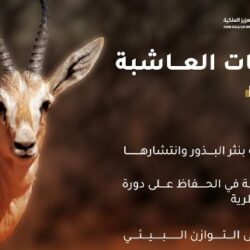 الملك سعود الطبية تكشف عن مرض الأسترواح الهوائي وطرق علاجه!