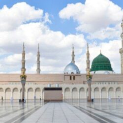 نونو سانتو يكشف حقيقة الخلاف المزعوم مع كريم بنزيما