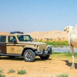 “الأمن العام” يحذر من التعامل مع “الفوركس غير المرخص”