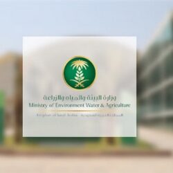 أكثر من 11 مليار ريال حصيلة 178 مليون عملية نقاط بيع في المملكة.. خلال أسبوع