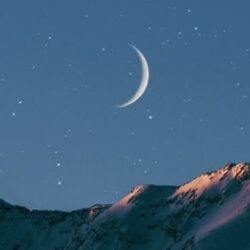 القبض على (4) أشخاص لترويجهم (14.5) كيلو جرامًا من مادة الحشيش المخدر