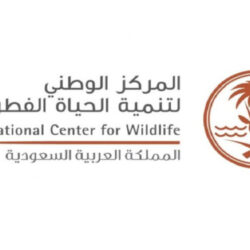 الهيئة العامة للنقل تعقد اختبار الكفاءة البحرية لرتبة كبير مهندسين بحريين لأول مرة على مستوى المملكة