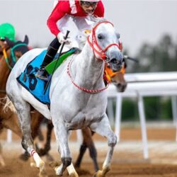 شاهد.. النصر يقلب الطاولة على شباب الأهلي الإماراتي برباعية ويتأهل إلى دور المجموعات