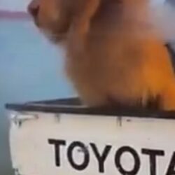 “موانئ” توقع اتفاقية مع ميناء روتردام الدولي لتطوير الموانئ الذكية وتعزيز الفرص التجارية